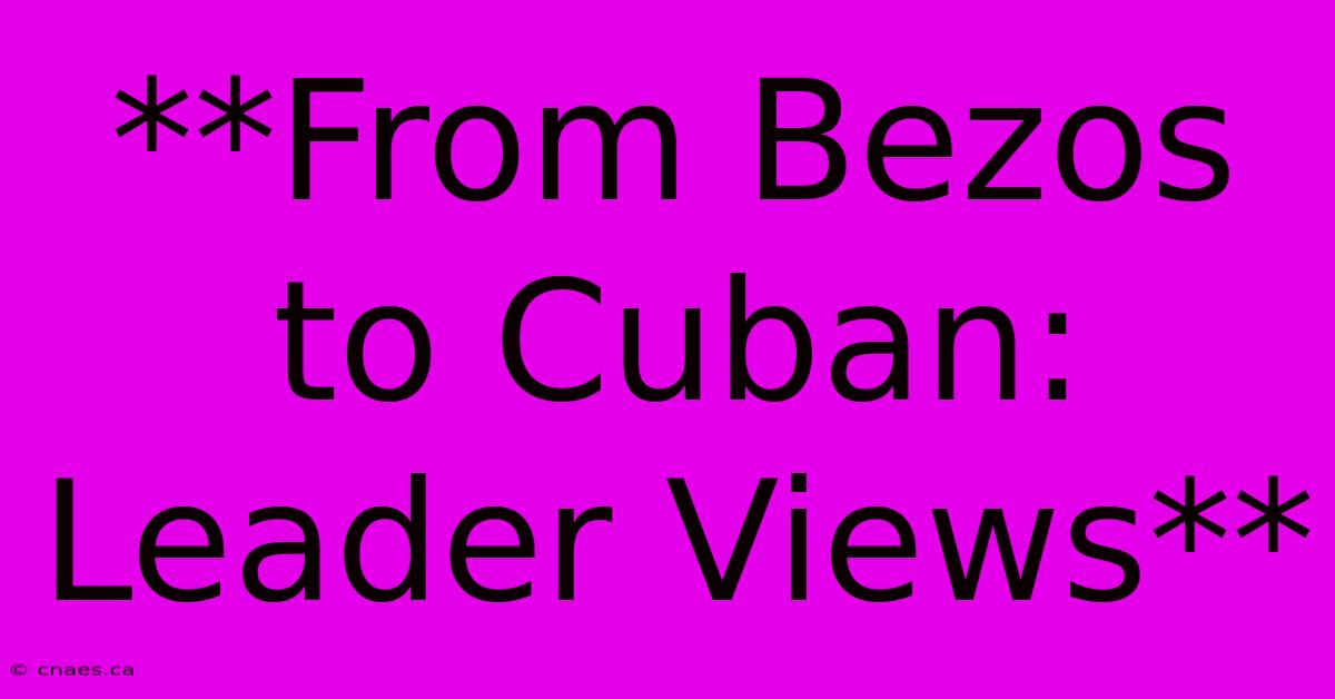 **From Bezos To Cuban: Leader Views** 