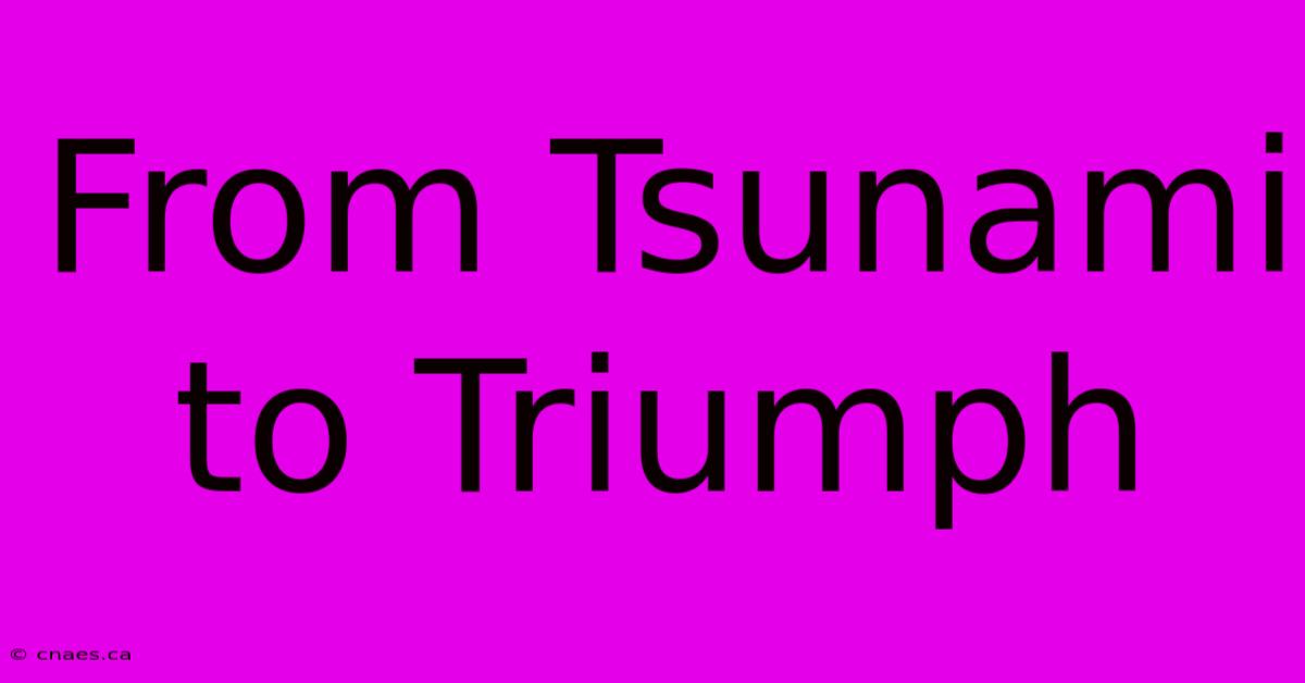 From Tsunami To Triumph