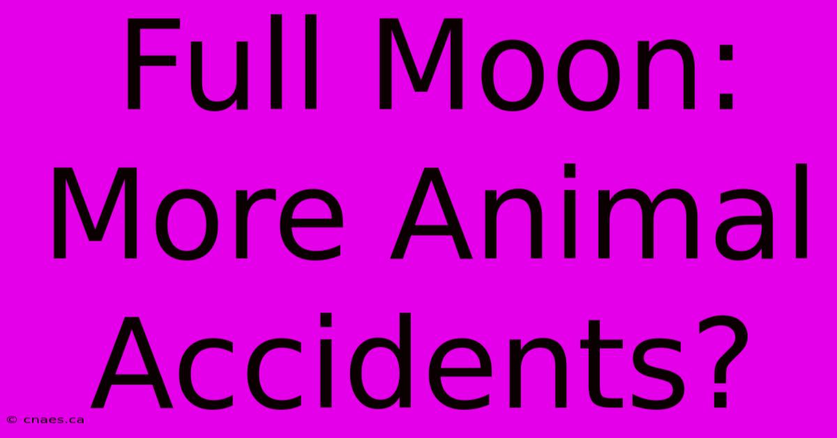 Full Moon: More Animal Accidents?