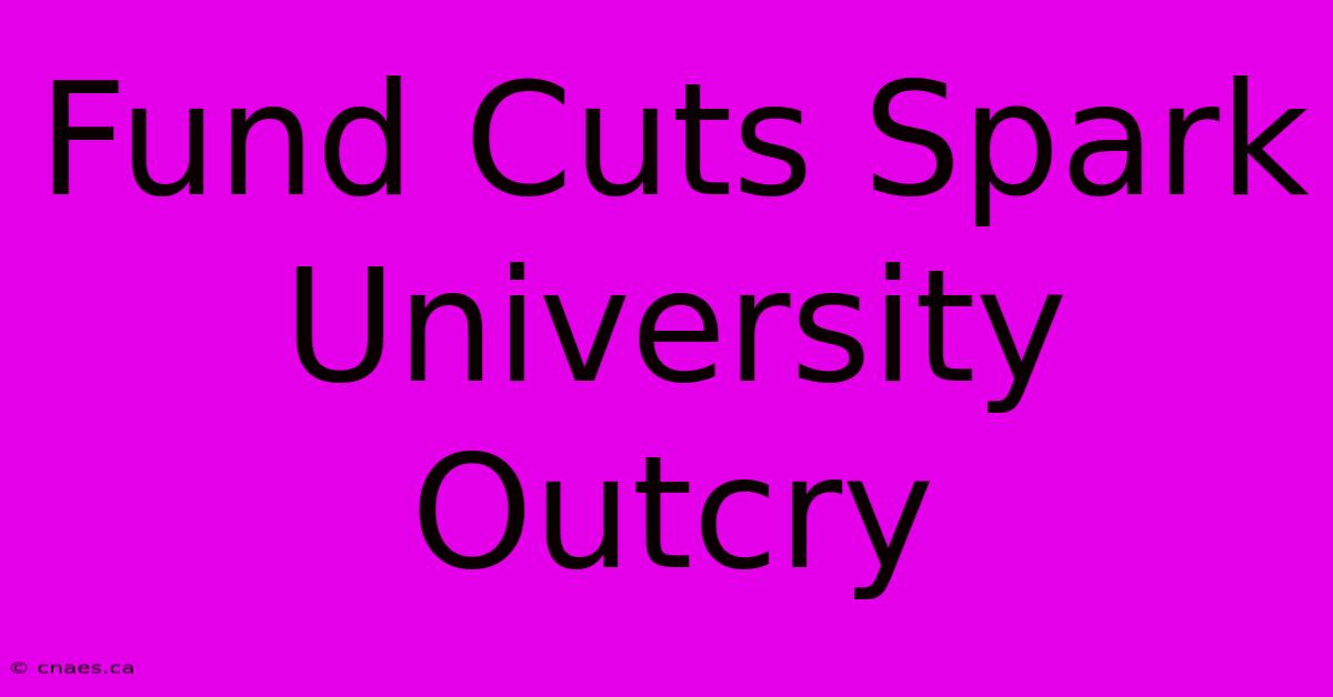 Fund Cuts Spark University Outcry