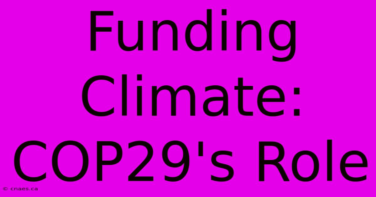 Funding Climate: COP29's Role