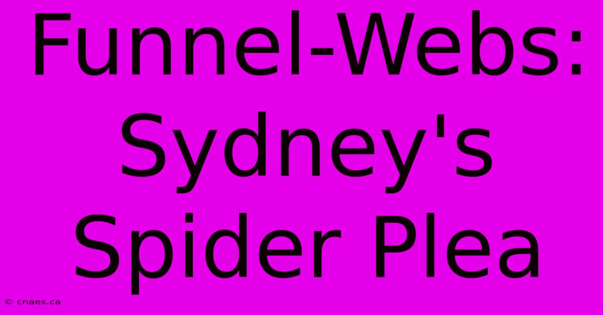 Funnel-Webs: Sydney's Spider Plea