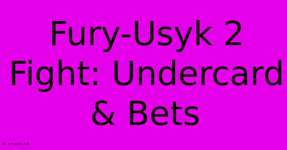 Fury-Usyk 2 Fight: Undercard & Bets