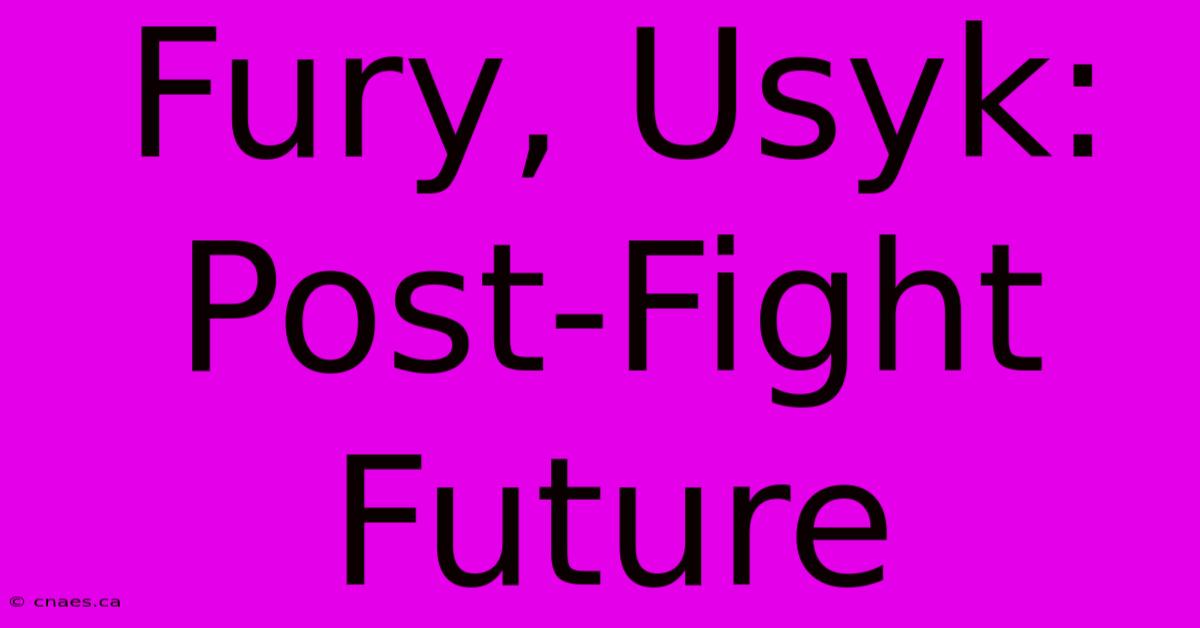 Fury, Usyk: Post-Fight Future