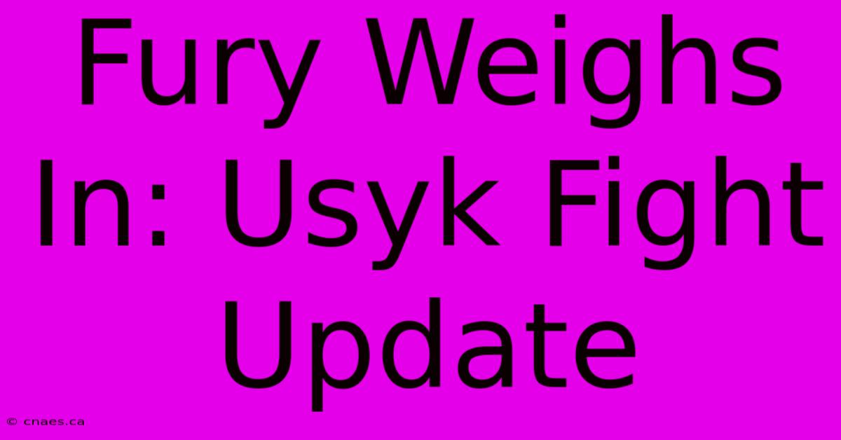 Fury Weighs In: Usyk Fight Update