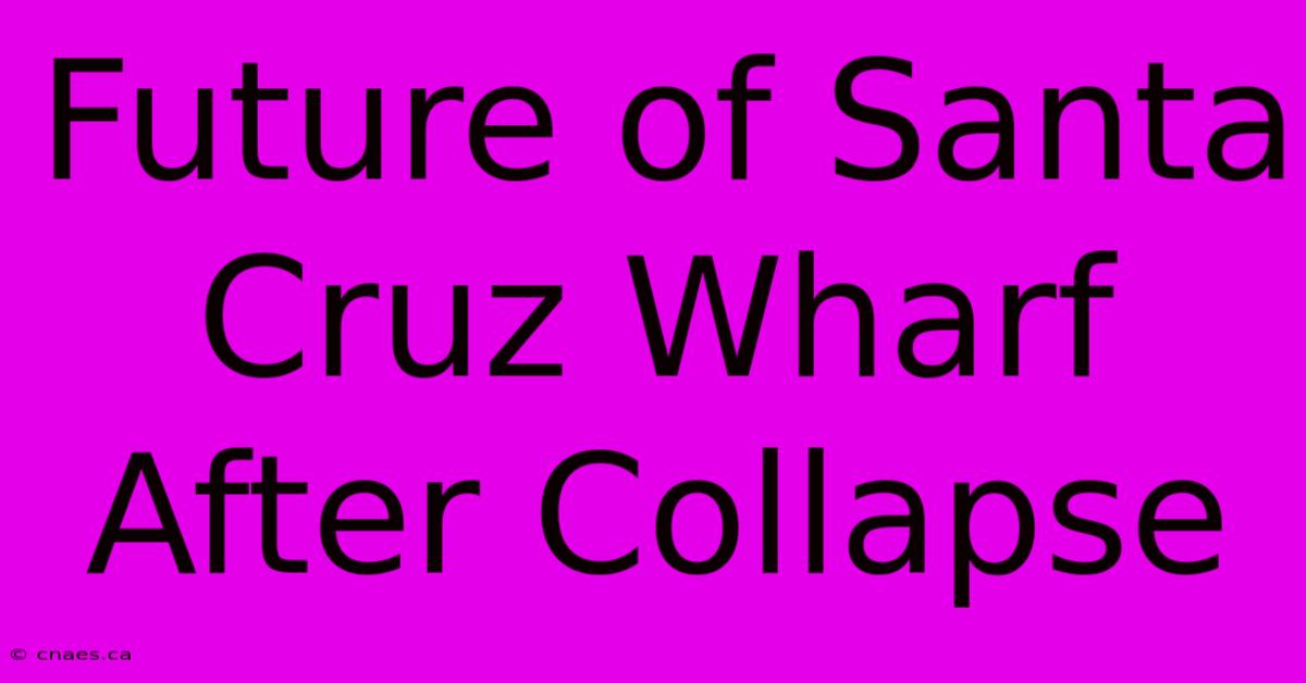 Future Of Santa Cruz Wharf After Collapse