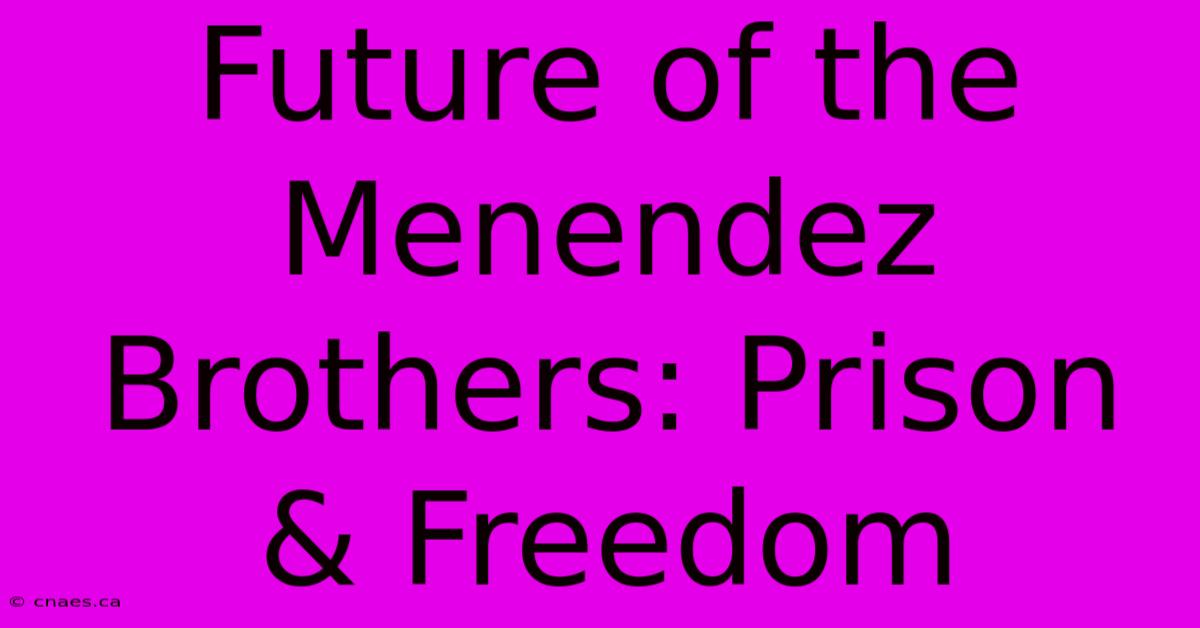 Future Of The Menendez Brothers: Prison & Freedom