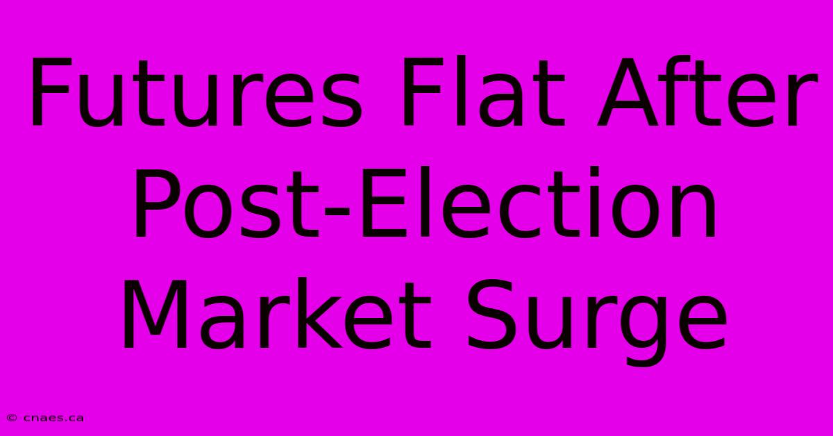 Futures Flat After Post-Election Market Surge