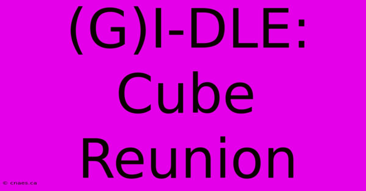 (G)I-DLE: Cube Reunion