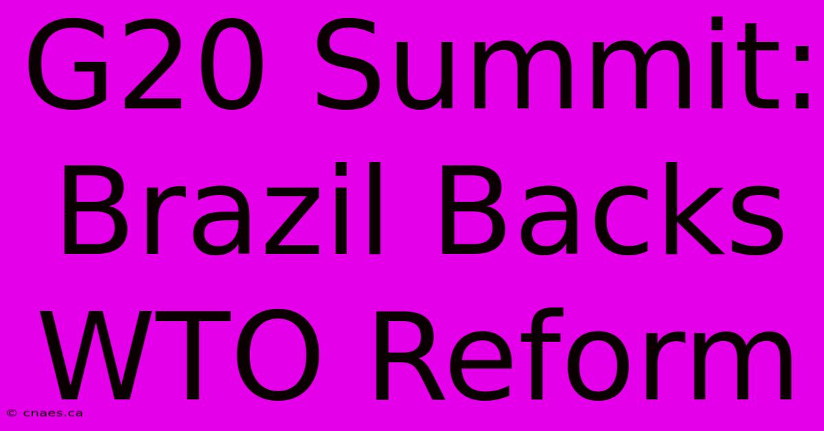 G20 Summit: Brazil Backs WTO Reform 