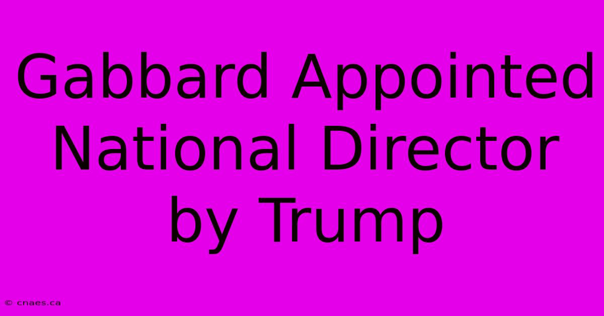 Gabbard Appointed National Director By Trump