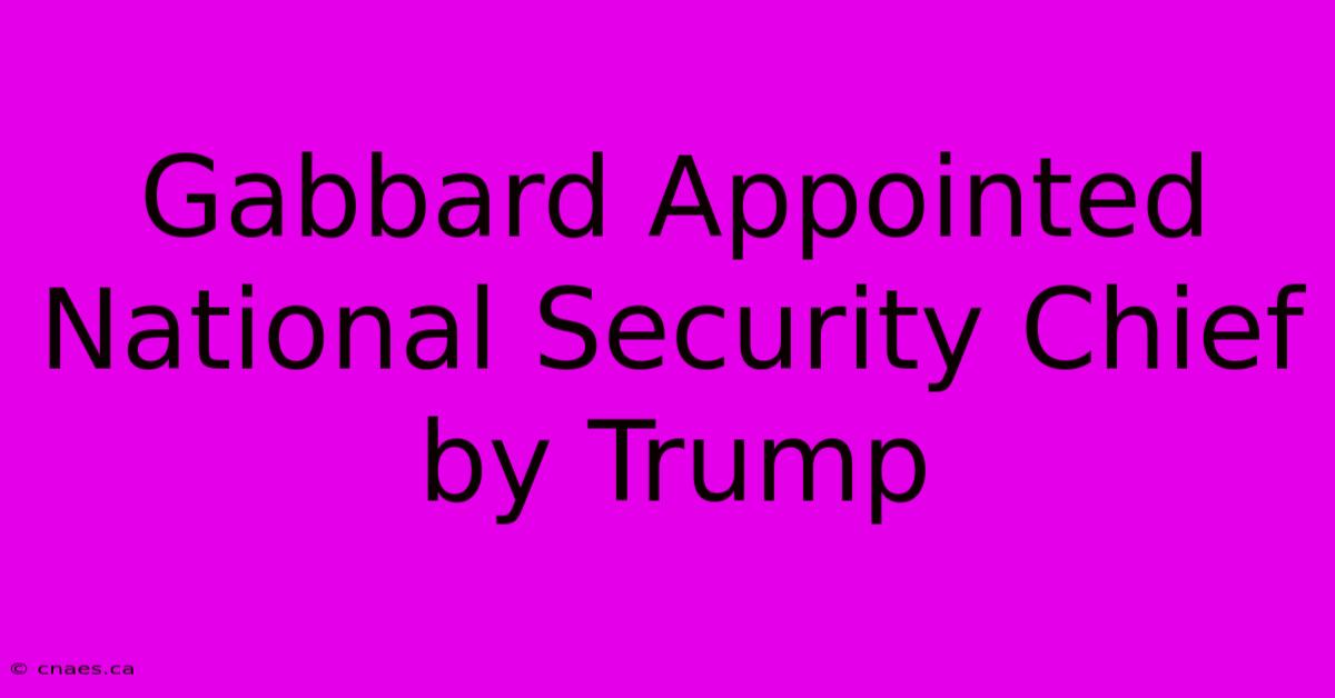 Gabbard Appointed National Security Chief By Trump