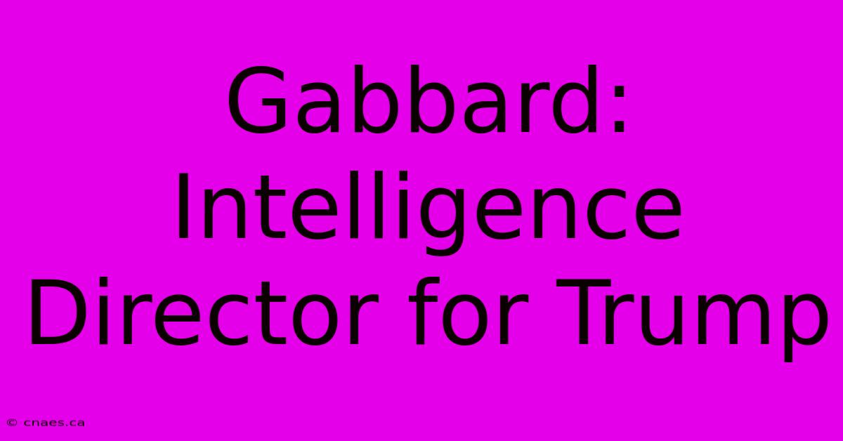 Gabbard: Intelligence Director For Trump