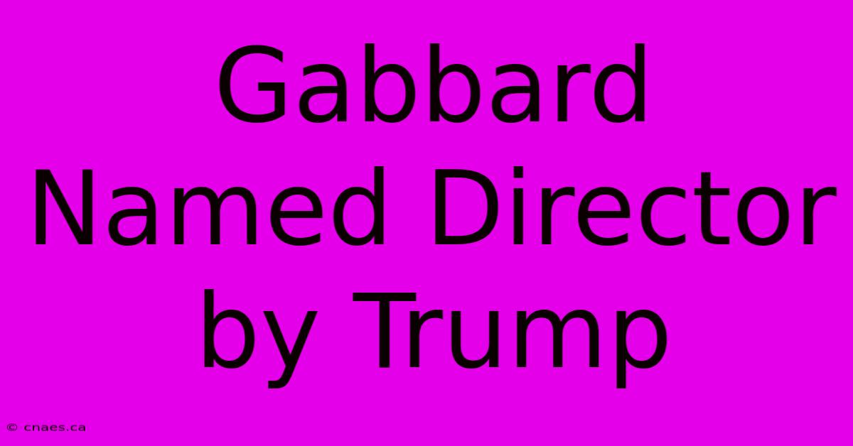 Gabbard Named Director By Trump