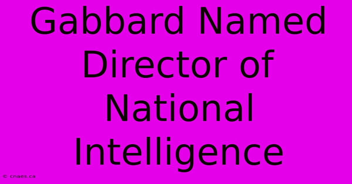 Gabbard Named Director Of National Intelligence