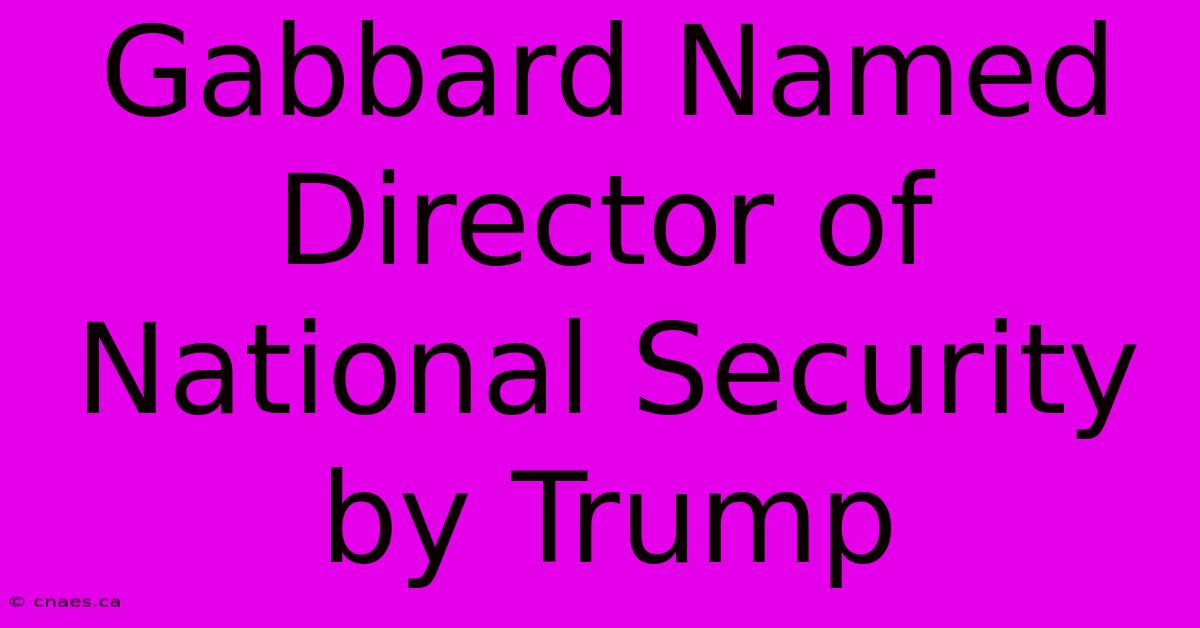 Gabbard Named Director Of National Security By Trump