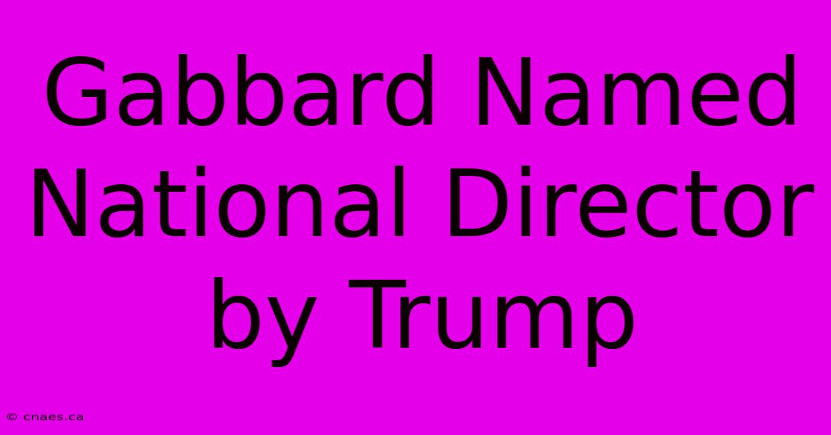 Gabbard Named National Director By Trump