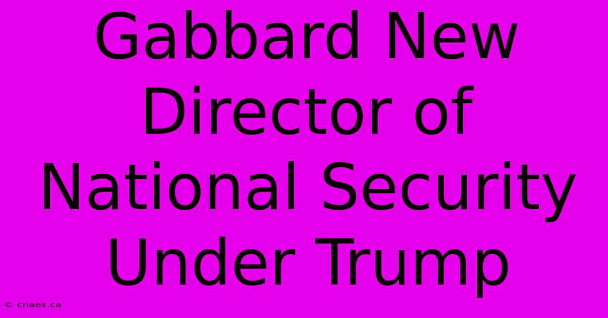 Gabbard New Director Of National Security Under Trump