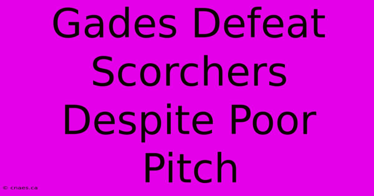 Gades Defeat Scorchers Despite Poor Pitch