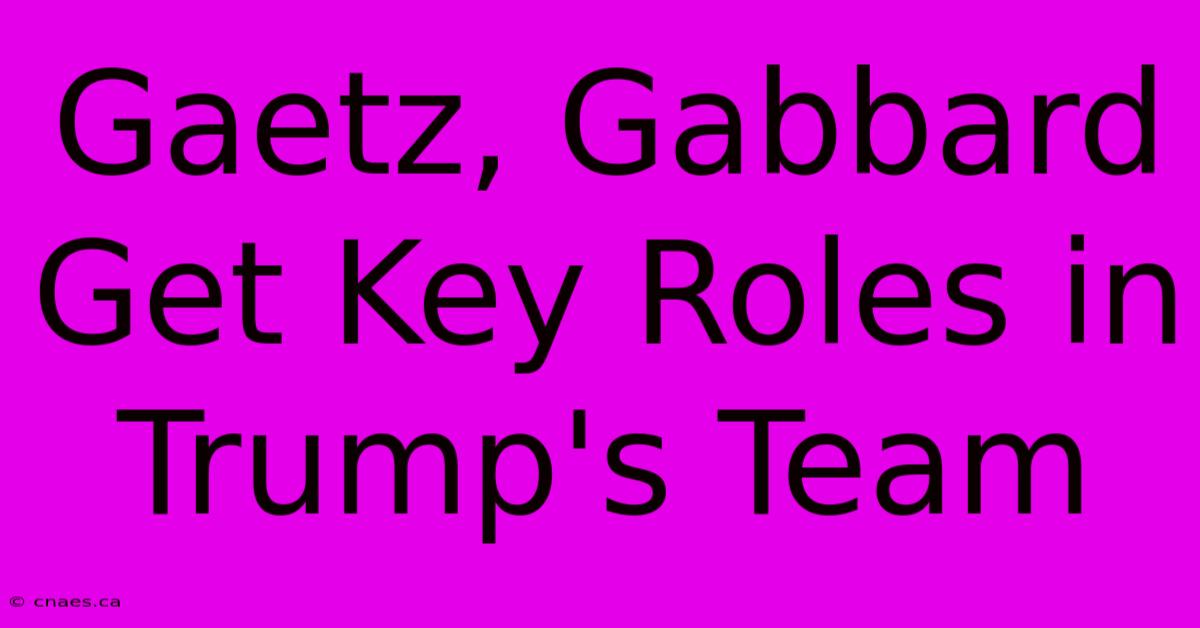 Gaetz, Gabbard Get Key Roles In Trump's Team