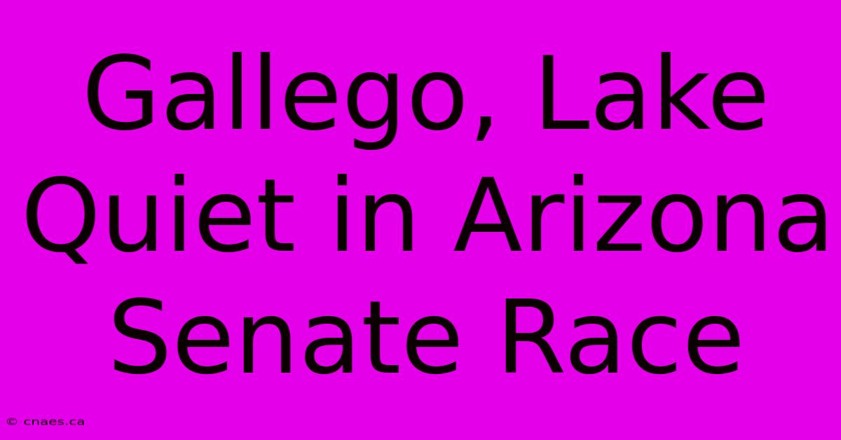 Gallego, Lake Quiet In Arizona Senate Race