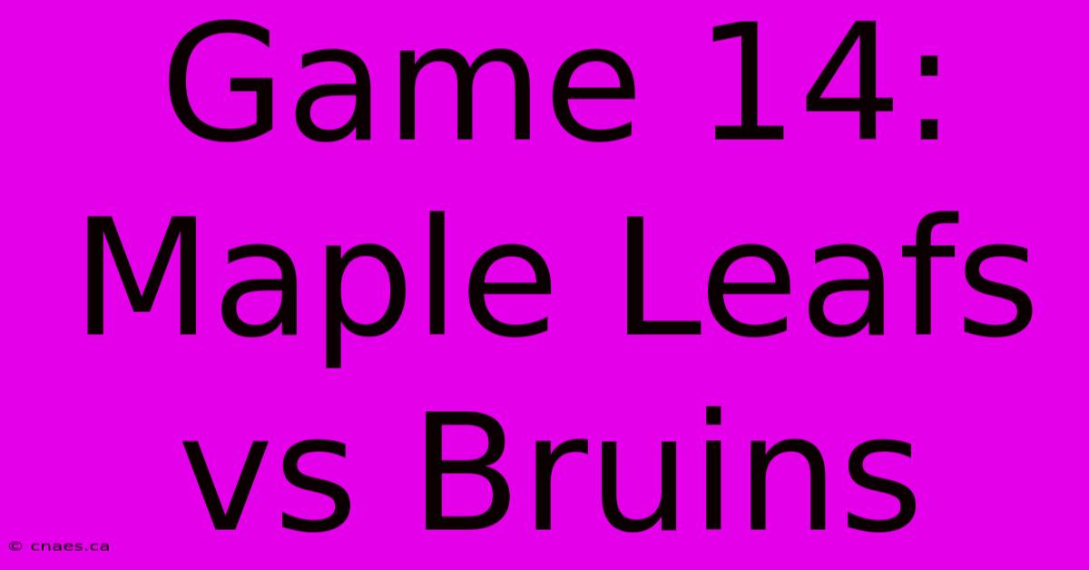 Game 14: Maple Leafs Vs Bruins 