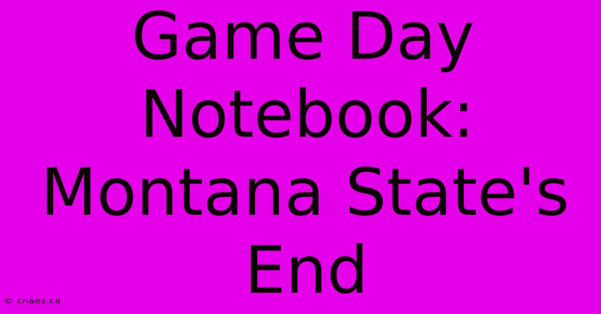 Game Day Notebook: Montana State's End