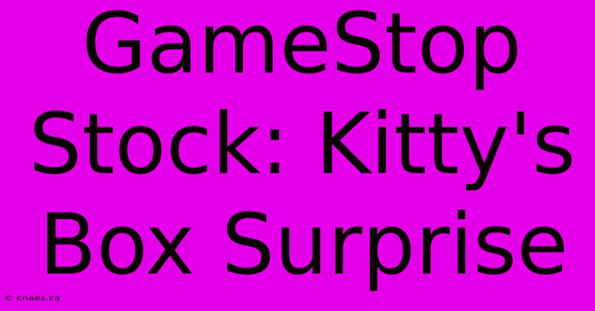 GameStop Stock: Kitty's Box Surprise