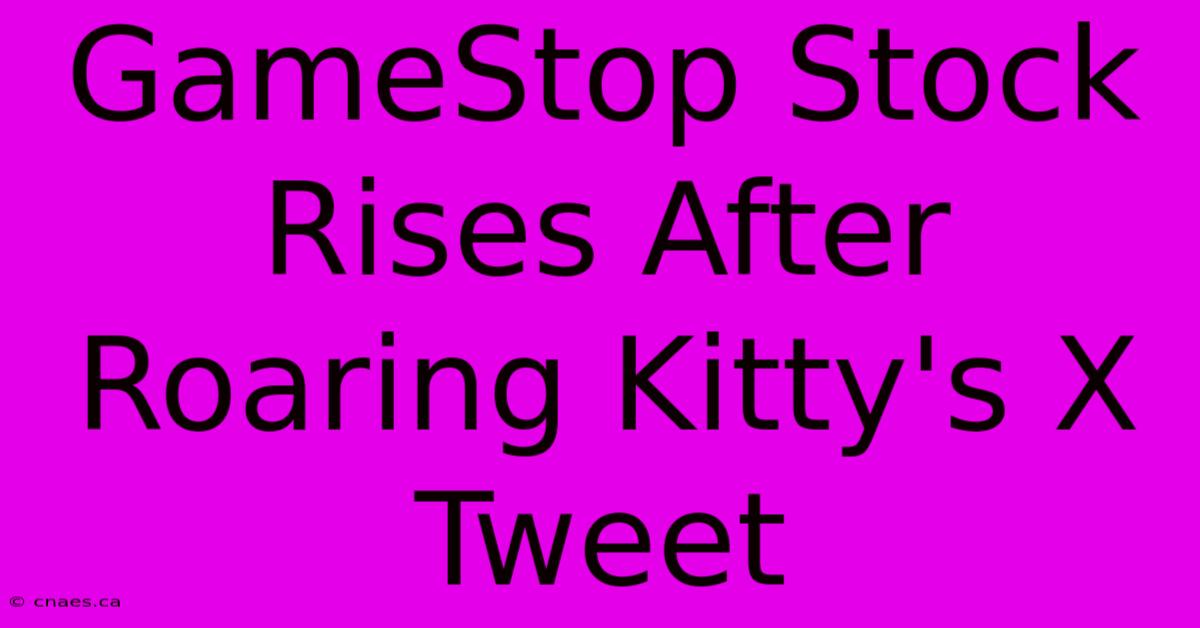 GameStop Stock Rises After Roaring Kitty's X Tweet