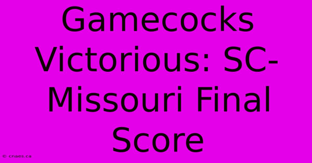 Gamecocks Victorious: SC-Missouri Final Score