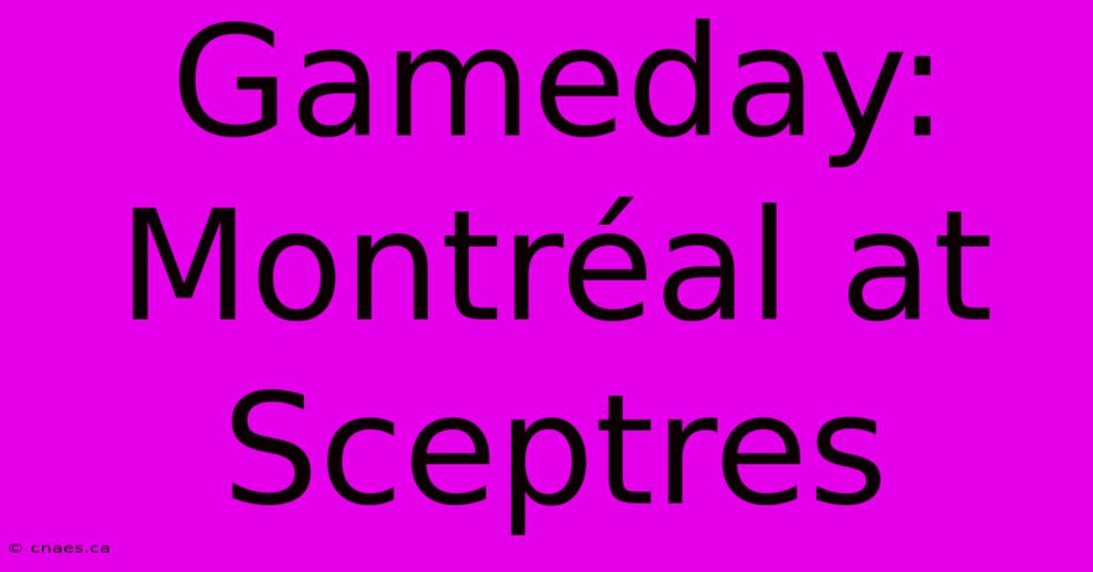 Gameday: Montréal At Sceptres