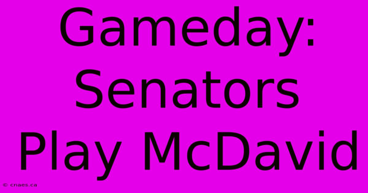 Gameday: Senators Play McDavid