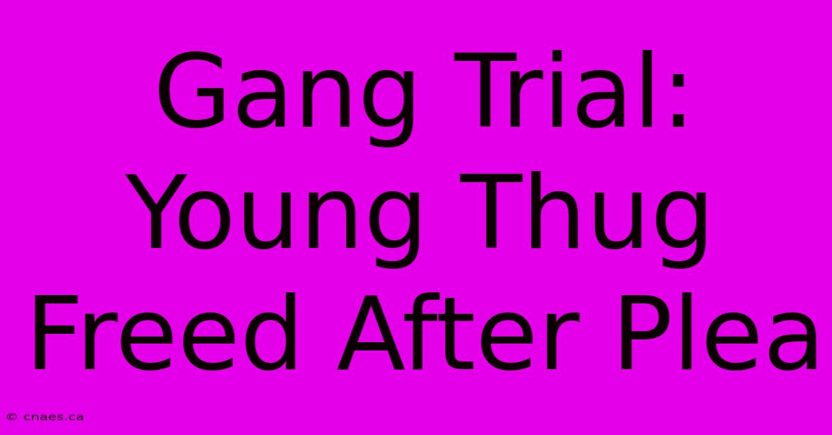 Gang Trial: Young Thug Freed After Plea