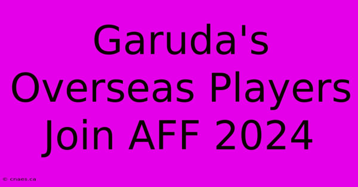 Garuda's Overseas Players Join AFF 2024