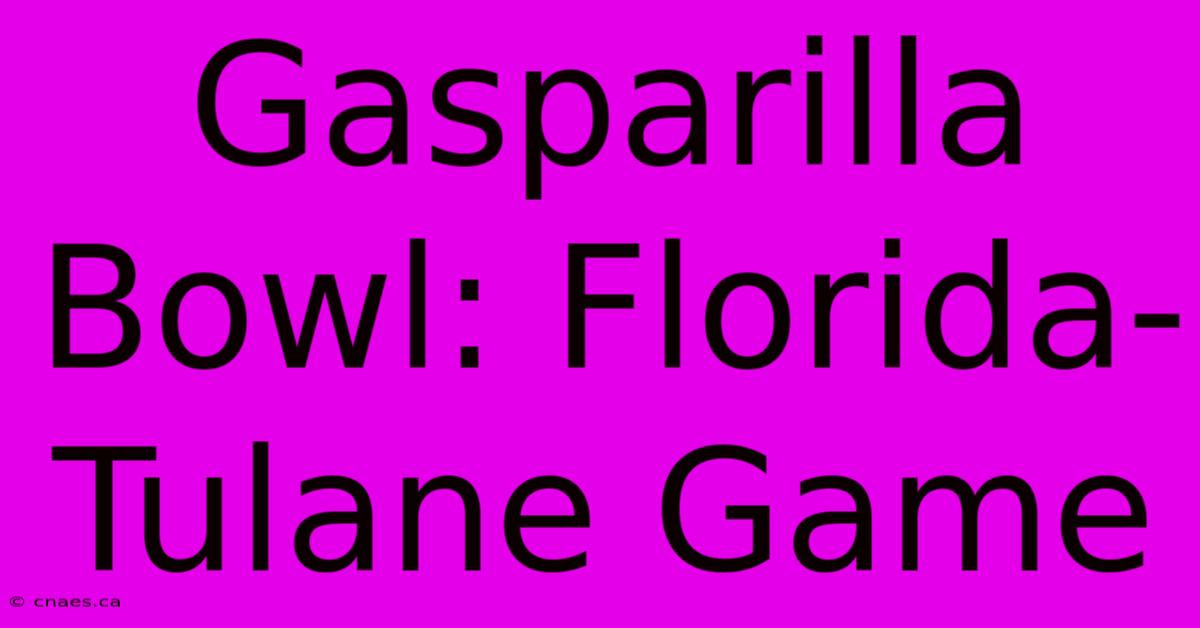 Gasparilla Bowl: Florida-Tulane Game