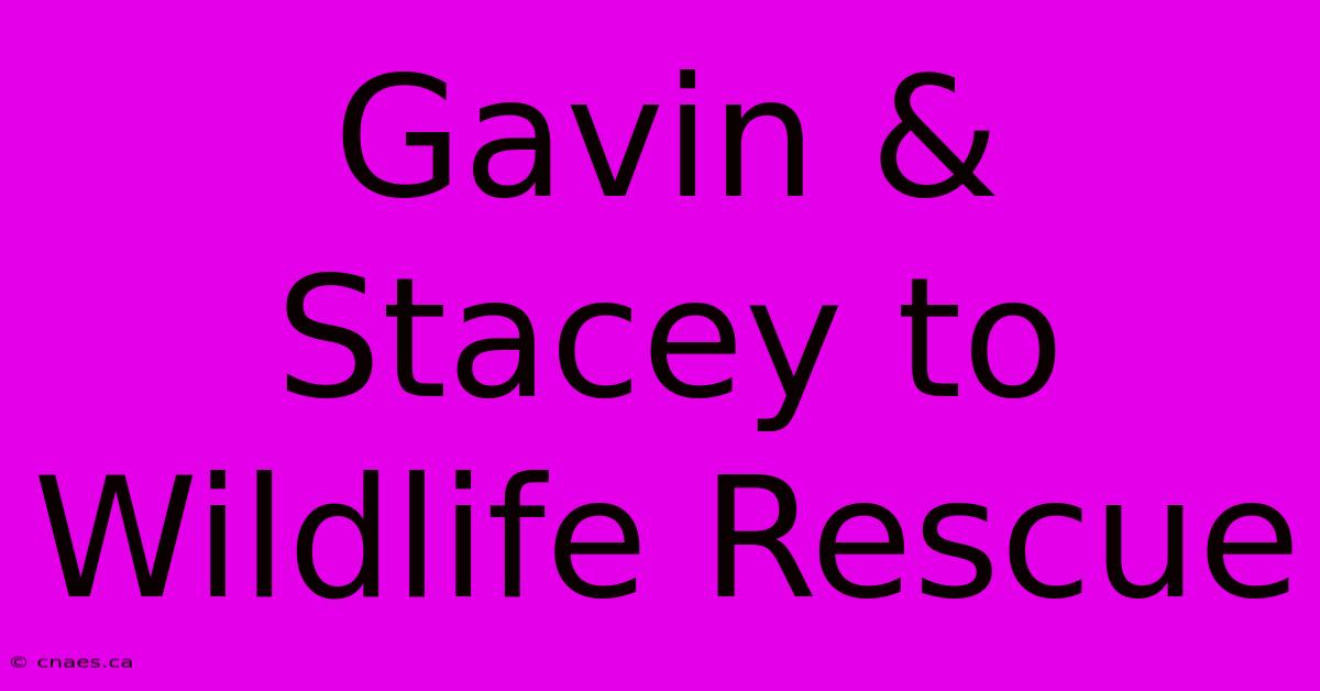 Gavin & Stacey To Wildlife Rescue