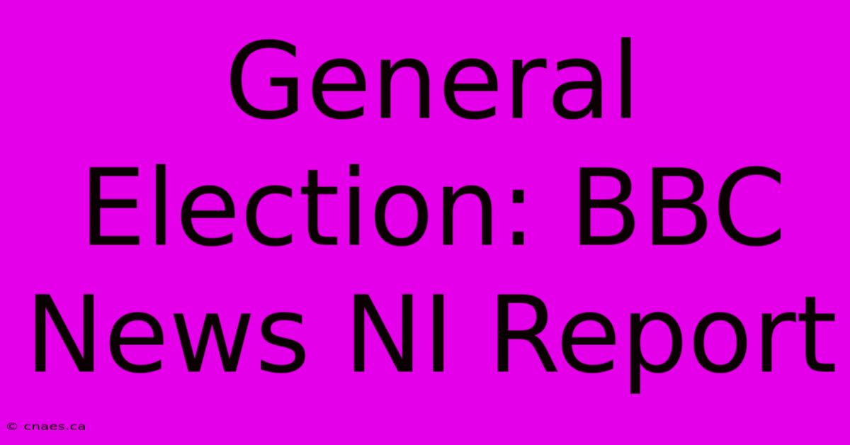 General Election: BBC News NI Report