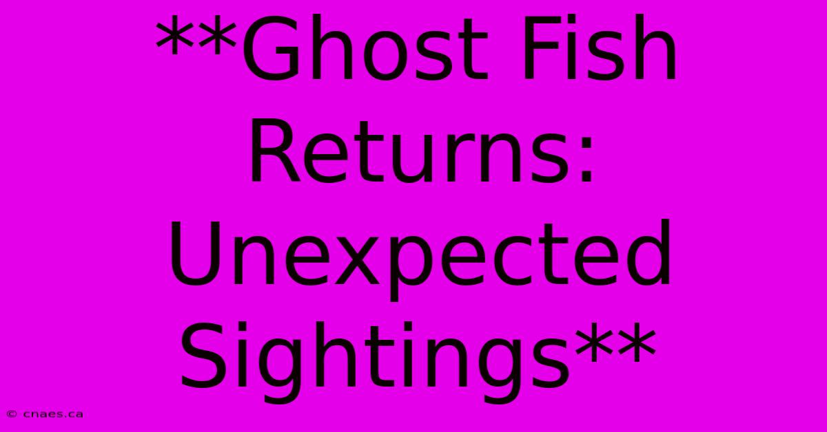 **Ghost Fish Returns: Unexpected Sightings**