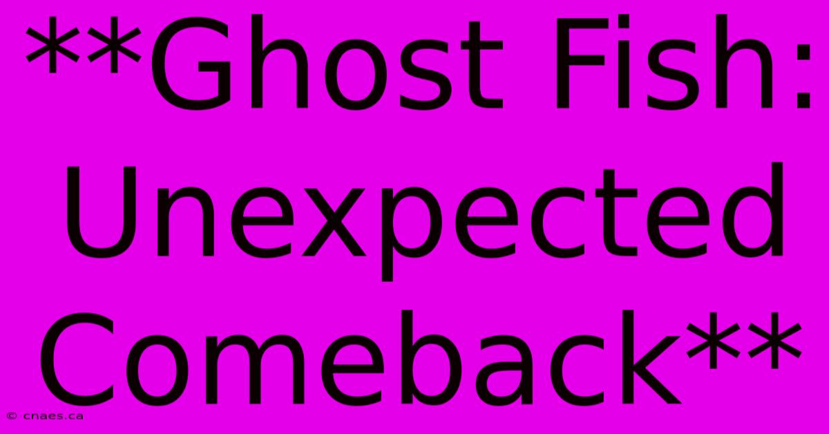 **Ghost Fish: Unexpected Comeback** 