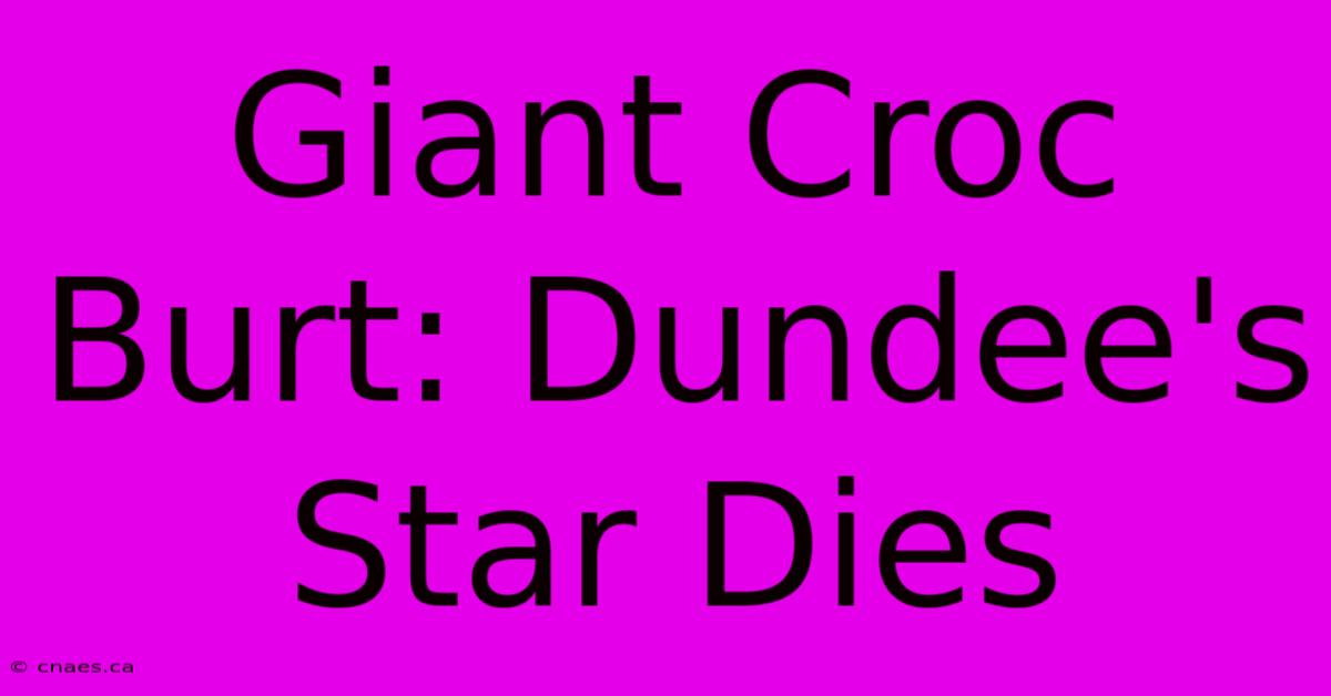 Giant Croc Burt: Dundee's Star Dies