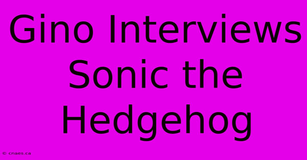 Gino Interviews Sonic The Hedgehog