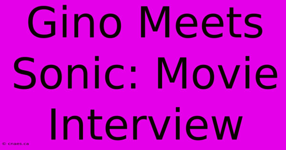 Gino Meets Sonic: Movie Interview