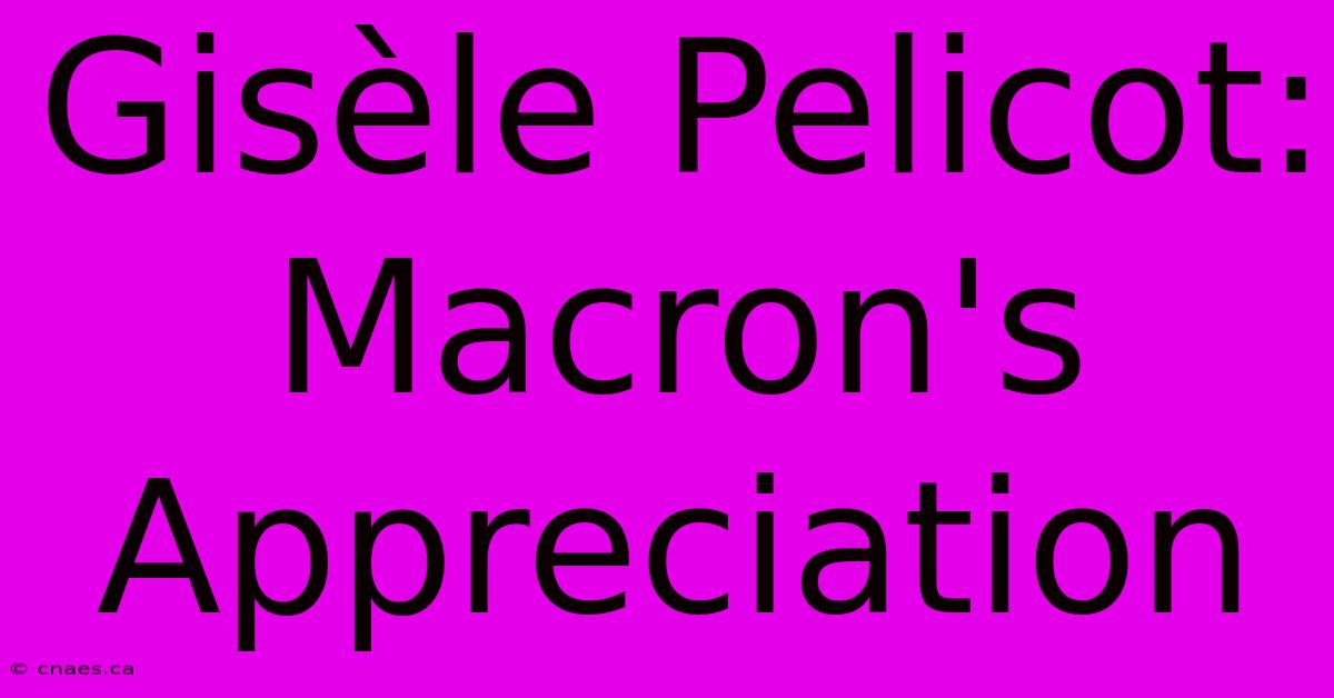 Gisèle Pelicot: Macron's Appreciation