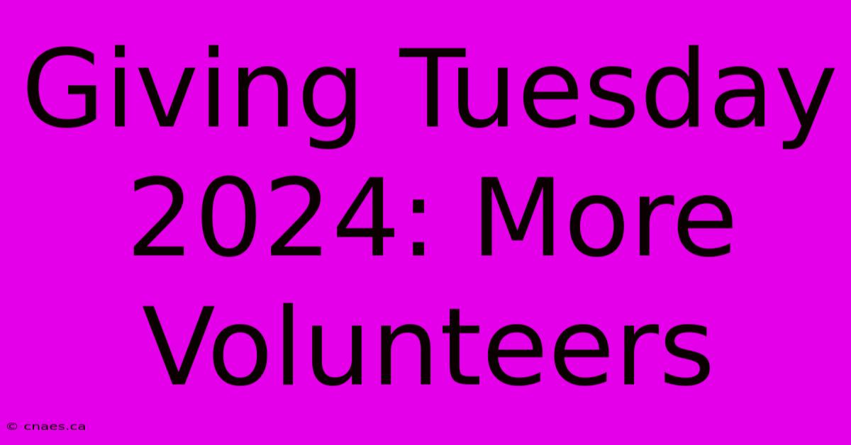 Giving Tuesday 2024: More Volunteers