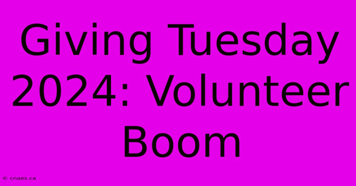 Giving Tuesday 2024: Volunteer Boom