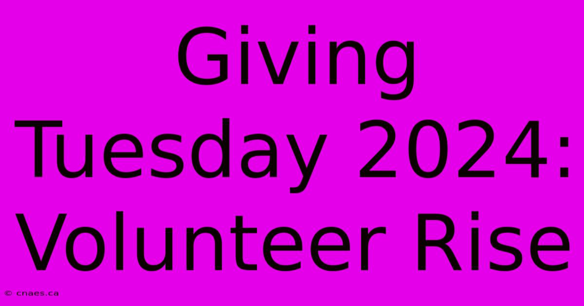 Giving Tuesday 2024: Volunteer Rise