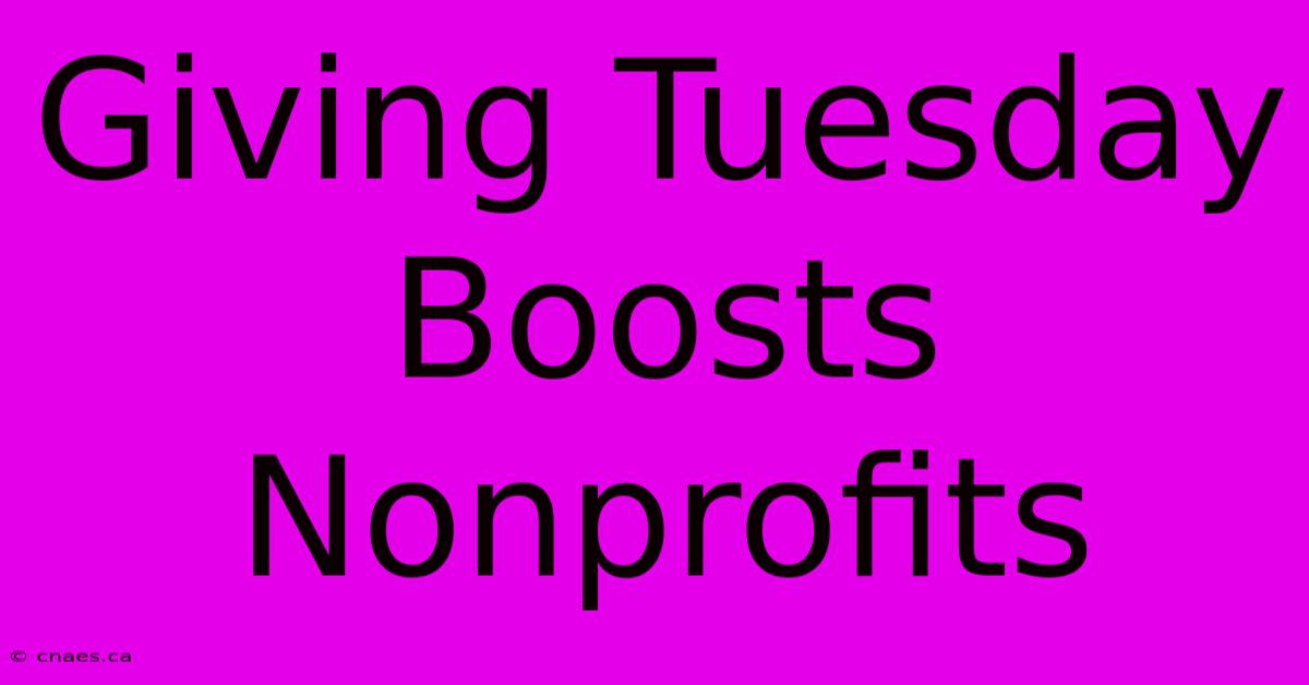 Giving Tuesday Boosts Nonprofits