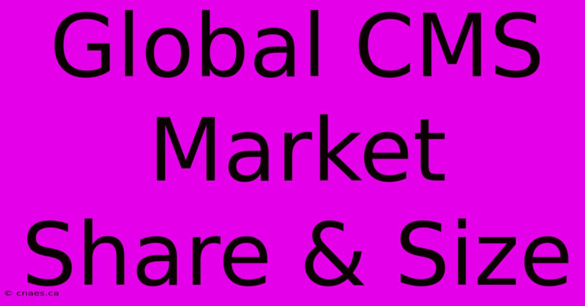 Global CMS Market Share & Size