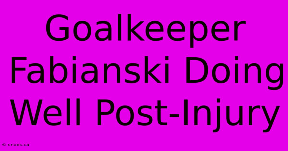 Goalkeeper Fabianski Doing Well Post-Injury