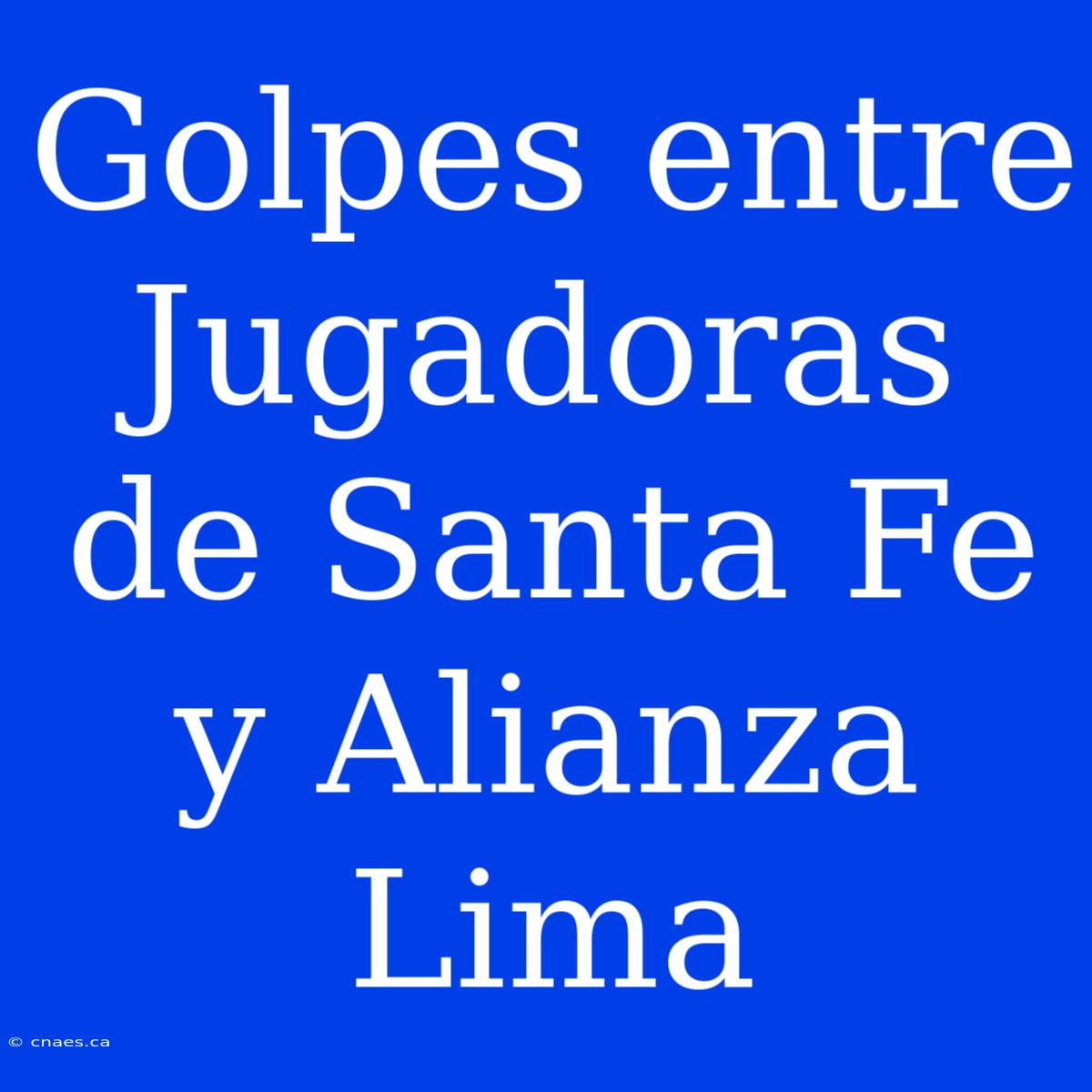 Golpes Entre Jugadoras De Santa Fe Y Alianza Lima